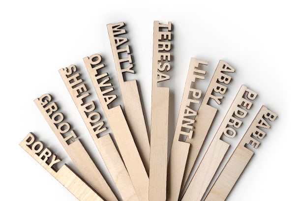 Plantsie Fundraising - Name Sticks