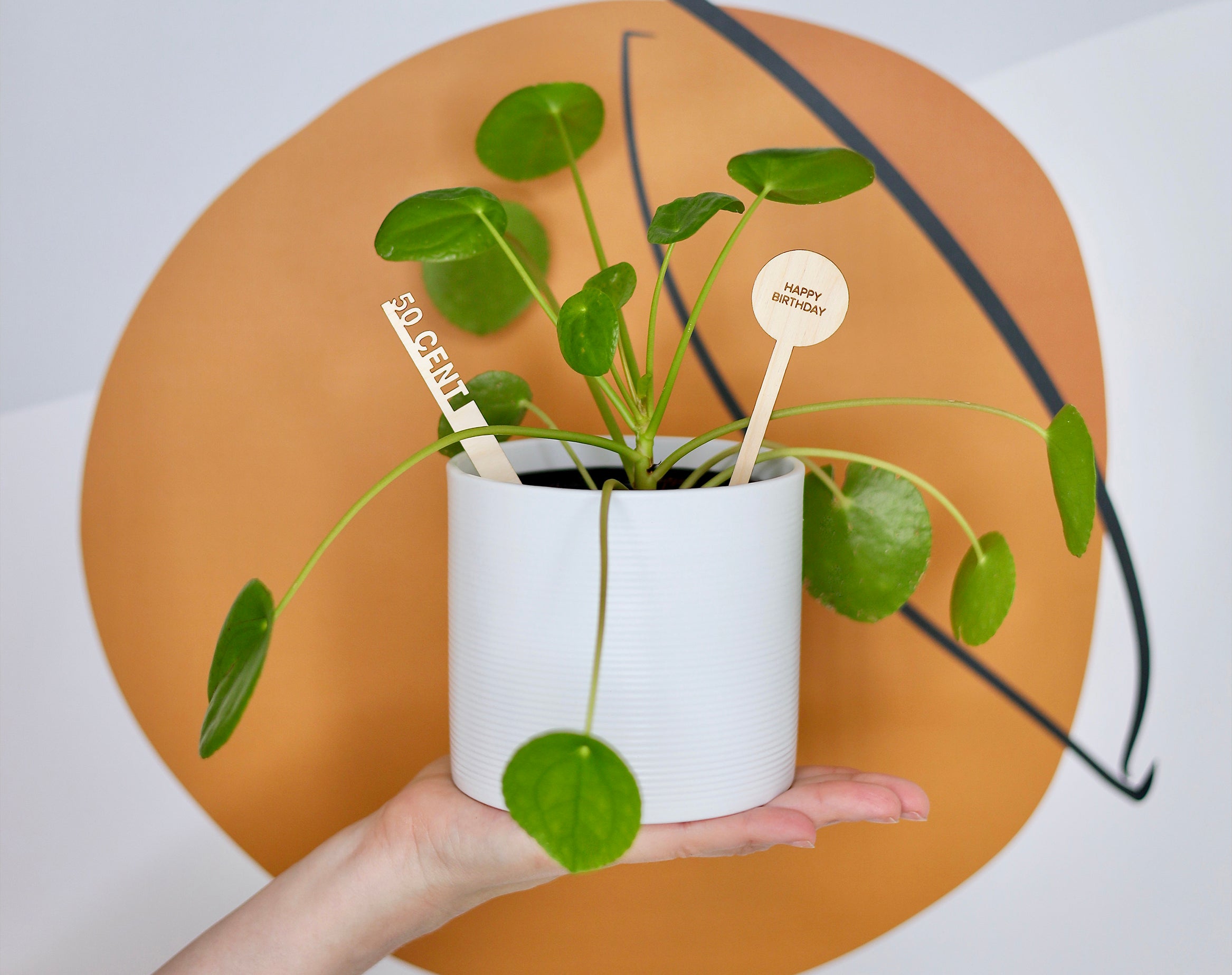 Why Plants Make the Best Gifts