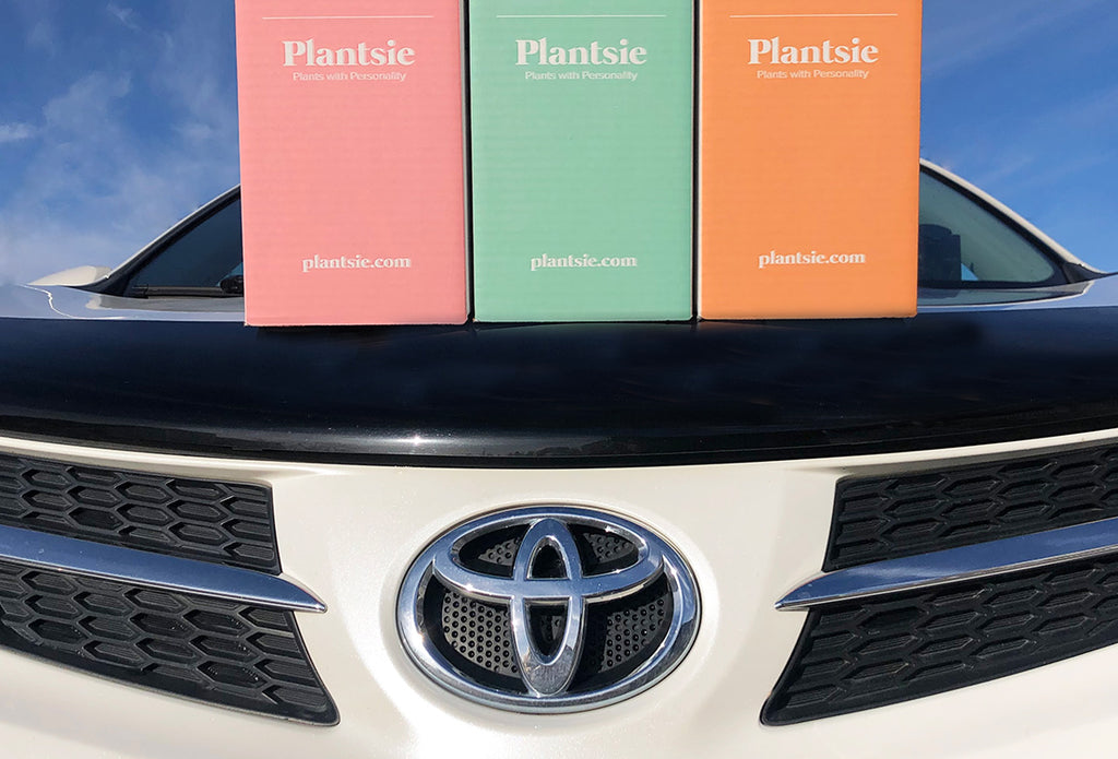 High River Toyota Takes Going Green to Another Level
