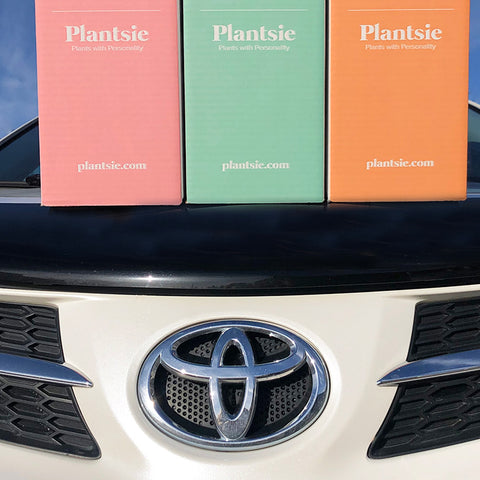 High River Toyota Takes Going Green to Another Level