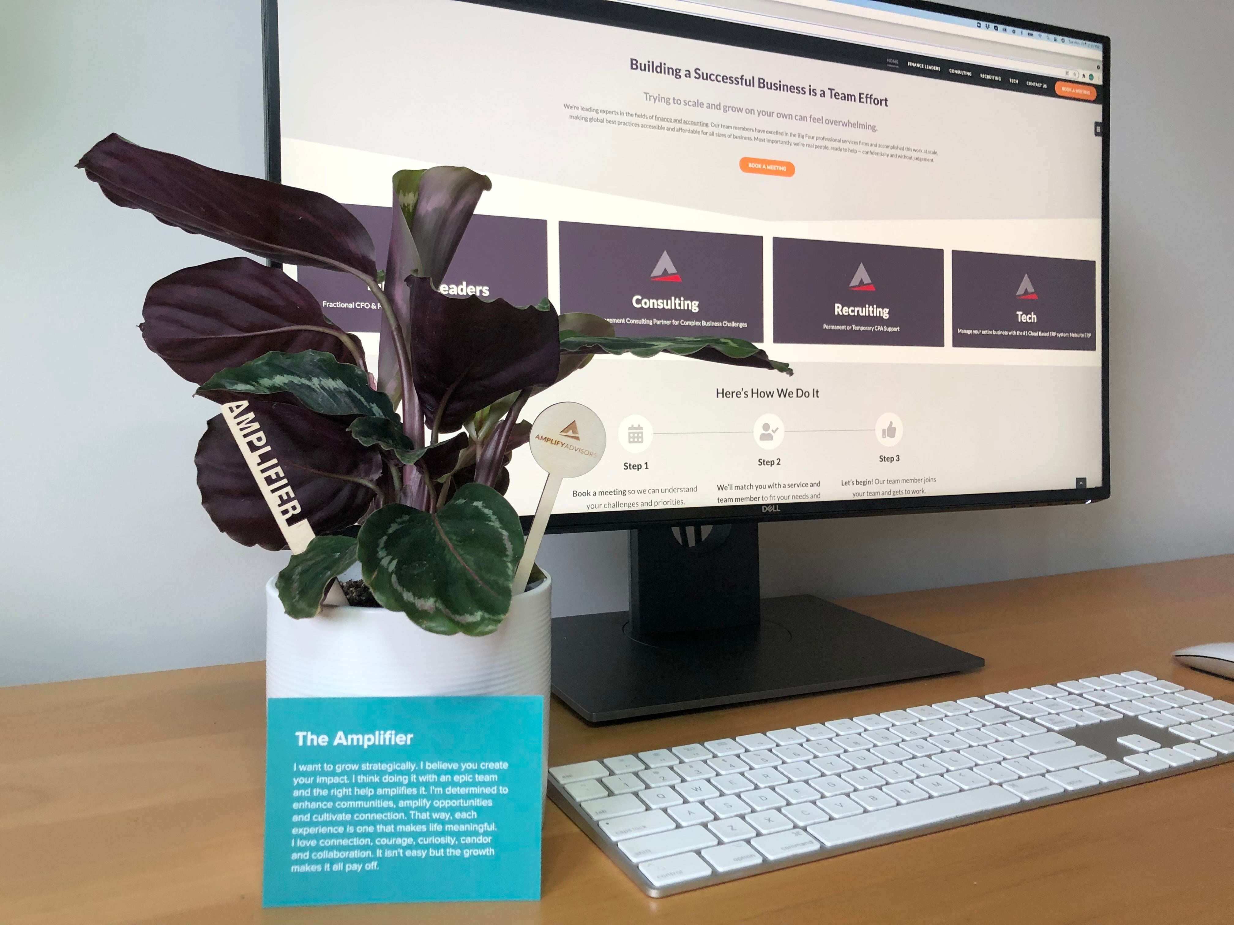 Amplify. Leaders for Growing Profit and More Recently…Plants.