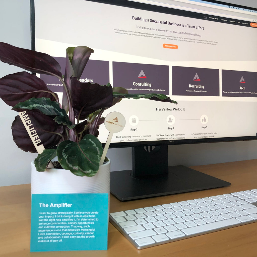 Amplify. Leaders for Growing Profit and More Recently…Plants.