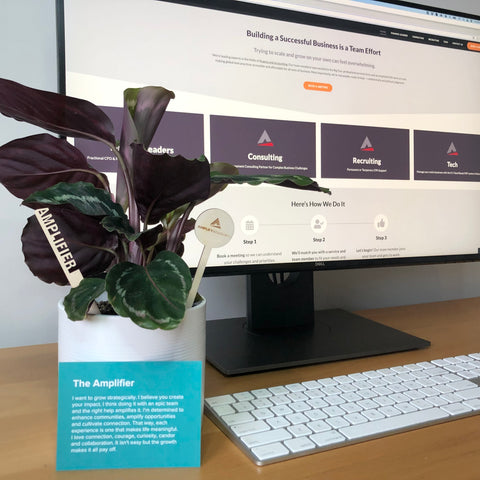 Amplify. Leaders for Growing Profit and More Recently…Plants.