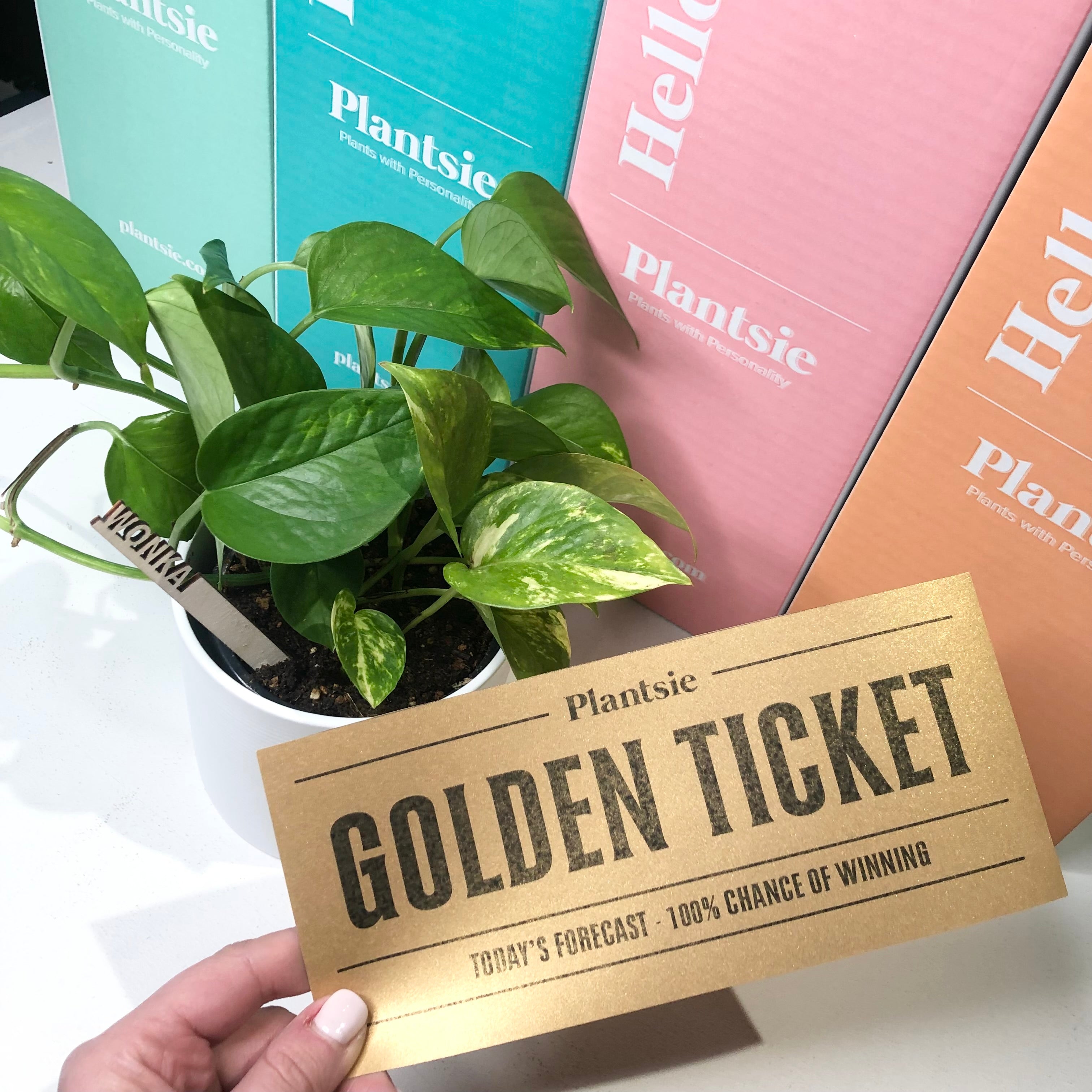Plantsie's Golden Ticket