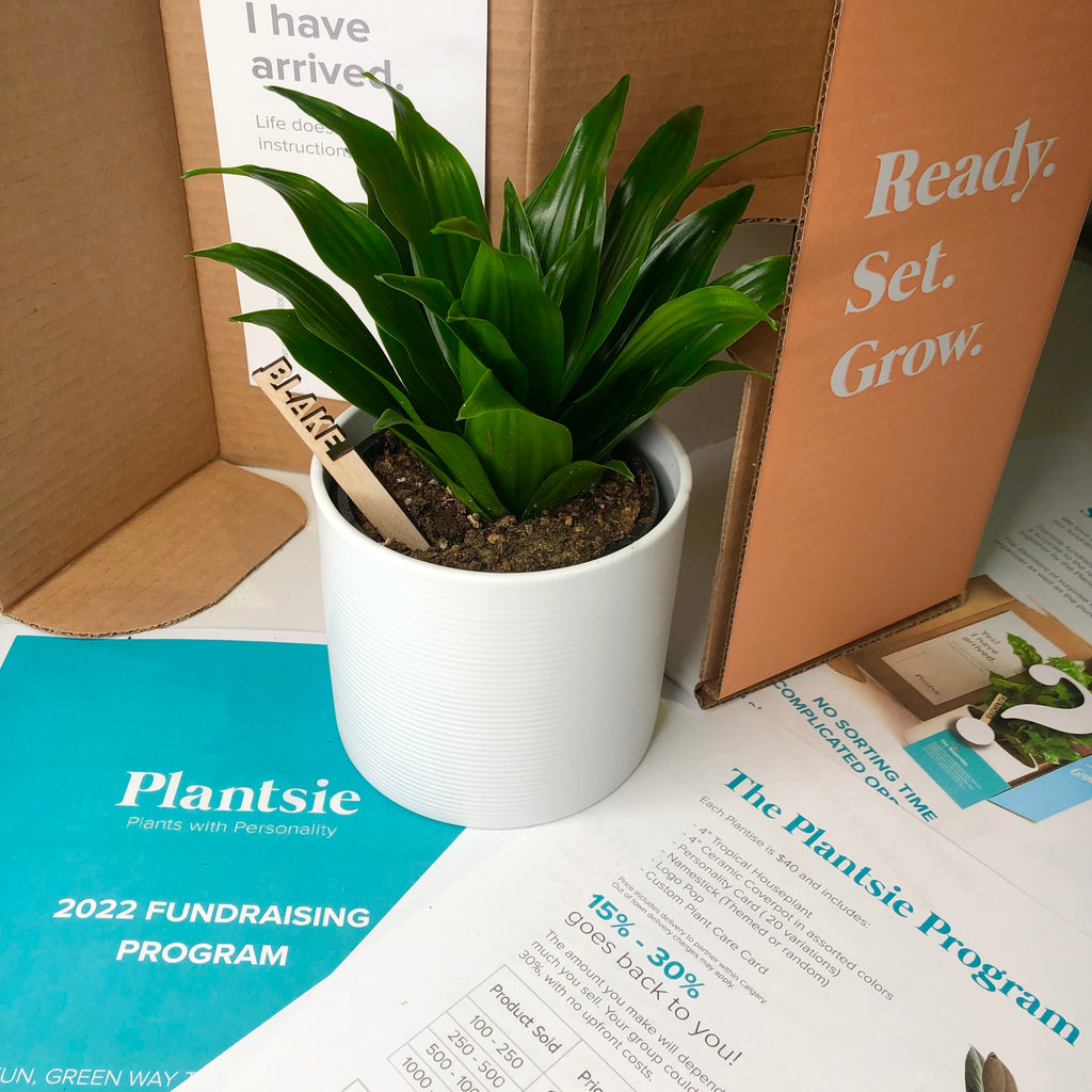 A Brand-New Way to Fundraise