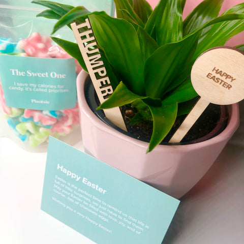 The Cutest Easter Gift in Calgary