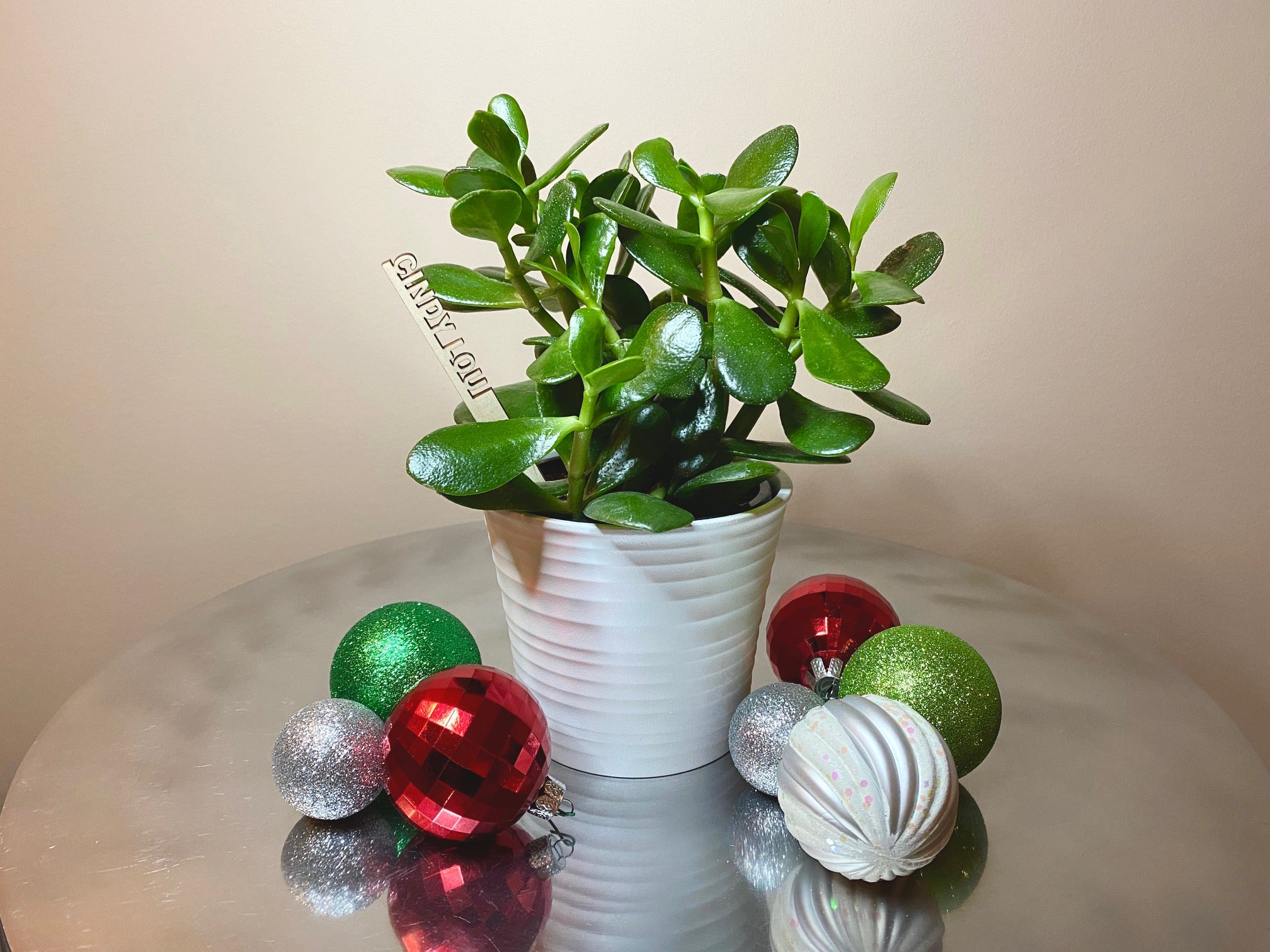 Plantsie's Holiday Gift Guide