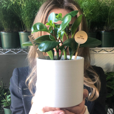 It’s Not About the Plants