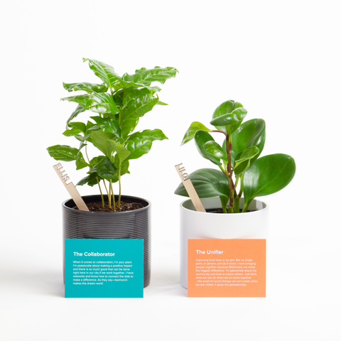 Plantsie Teams up with the United Way to Grow a Better Tomorrow